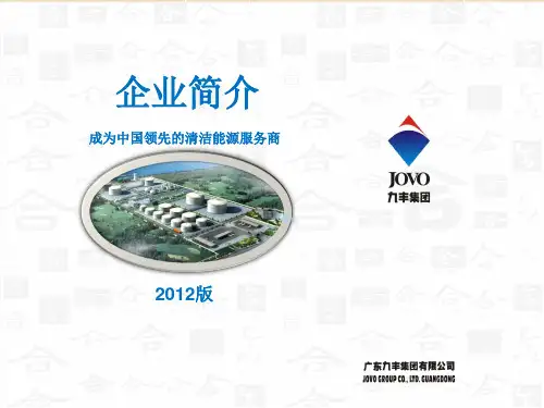 九丰集团简介标准版(2)