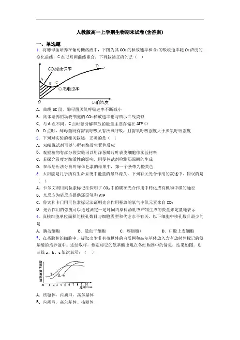 人教版高一上学期生物期末试卷(含答案)