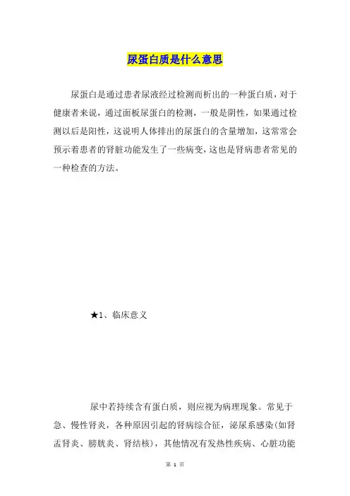 尿蛋白质是什么意思