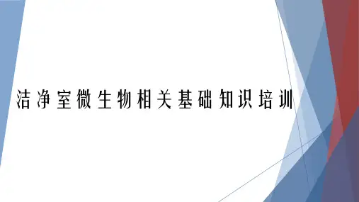 洁净室微生物相关基础知识培训