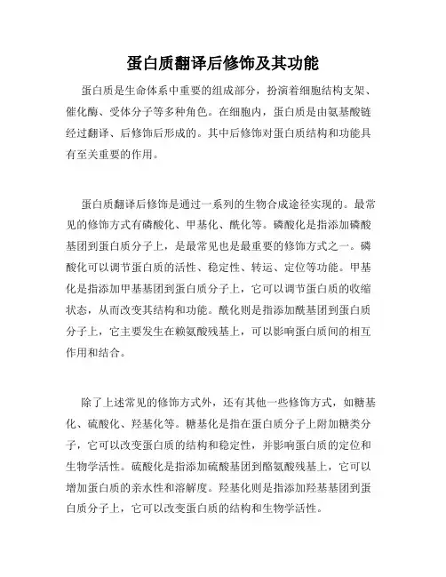 蛋白质翻译后修饰及其功能