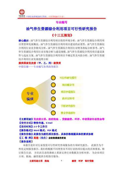 油气伴生资源综合利用项目可行性研究报告