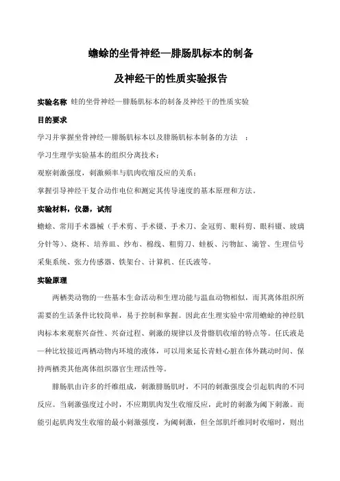 蟾蜍的坐骨神经—腓肠肌标本的制备