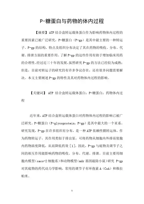 P糖蛋白与药物的体内过程