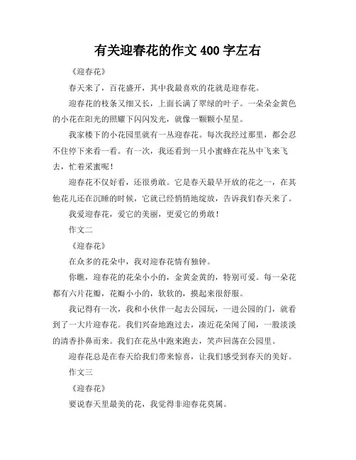 有关迎春花的作文400字左右