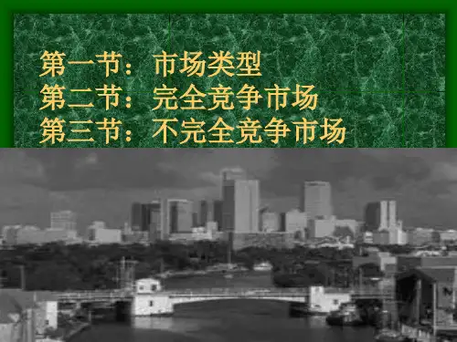 第六章市场理论47页PPT文档