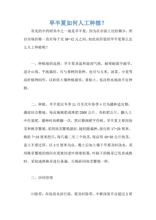 旱半夏如何人工种植？