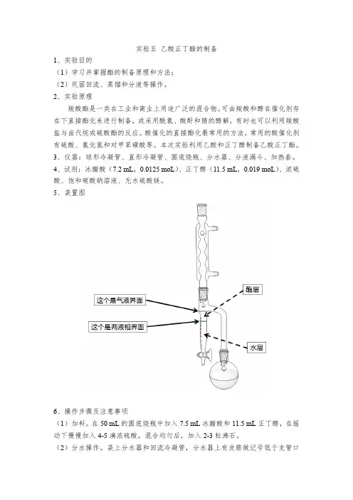 有机化学实验 乙酸正丁酯的制备实验报告模板