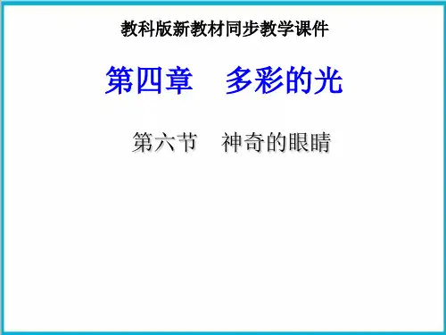 4.6神奇的眼睛PPT教科版八年级物理上册