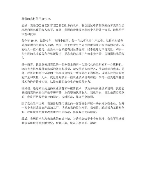 农户个人贷款申请书范文