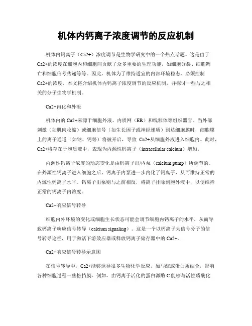 机体内钙离子浓度调节的反应机制