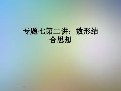 专题七第二讲：数形结合思想