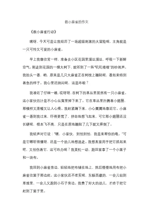 救小麻雀的作文