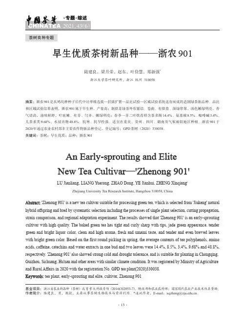 早生优质茶树新品种——浙农901