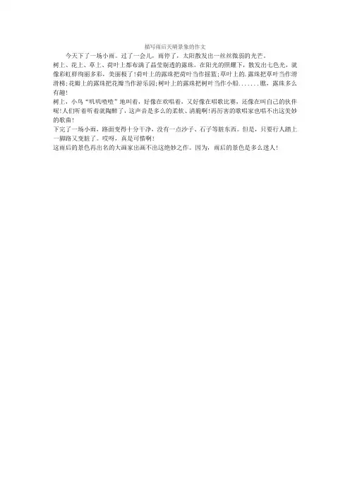 描写雨后天晴景象的作文