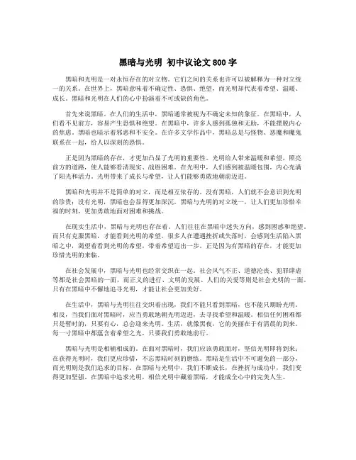 黑暗与光明 初中议论文800字