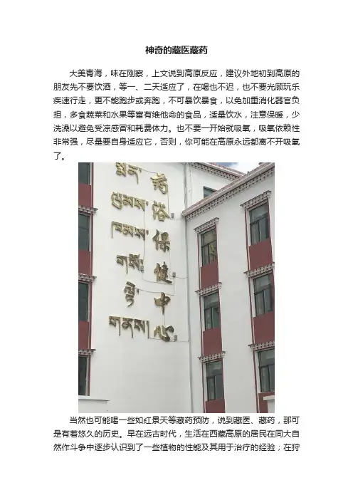 神奇的藏医藏药