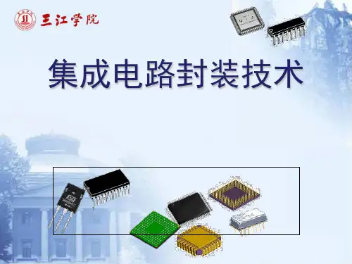 集成电路封装技术课件(PPT 122页)