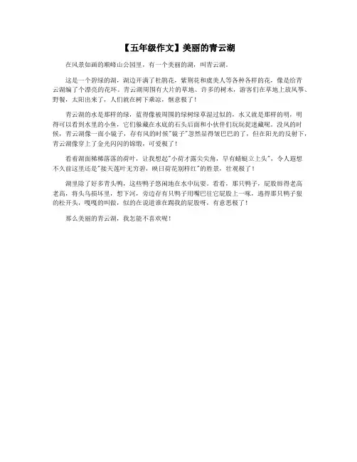 【五年级作文】美丽的青云湖