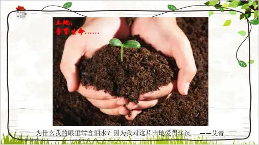 课件_人教版-精选-必修一土壤的形成PPT课件_优秀版