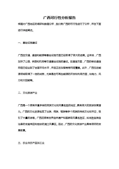 广西可行性分析报告