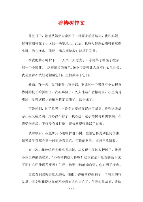 香椿树作文300三年级