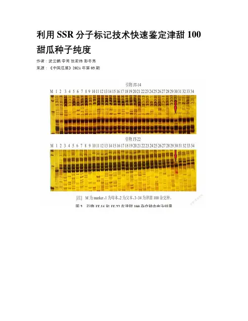 利用SSR分子标记技术快速鉴定津甜100甜瓜种子纯度 