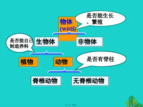 七年级生物上册第二单元第二章生物圈中的动物复习课件济南版