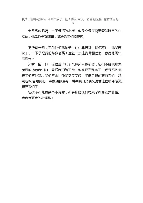 六年级写人作文：我的小侄儿