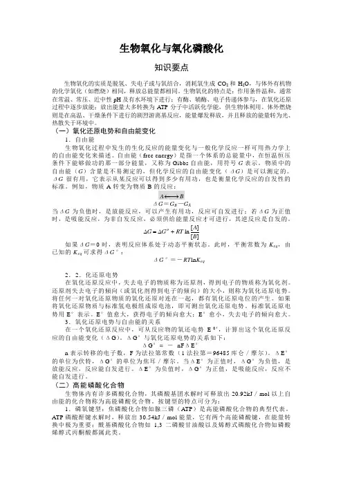 生物氧化与氧化磷酸化