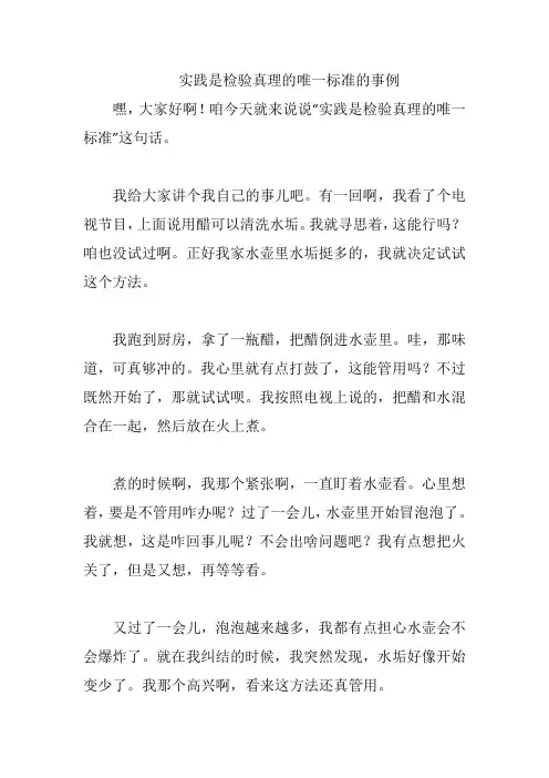 实践是检验真理的唯一标准的事例
