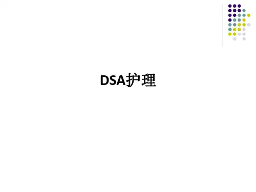 DSA护理ppt课件