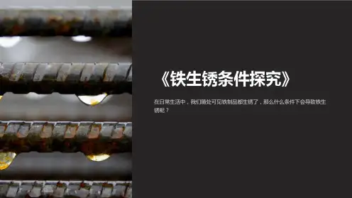 《铁生锈条件探究》课件
