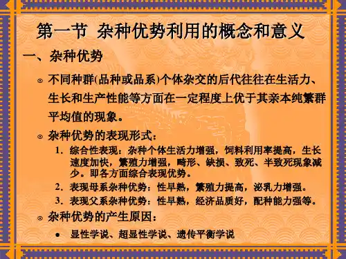 杂种优势利用.课件