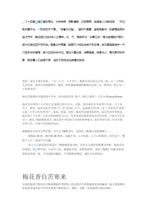 二十四番花信之首的梅花2