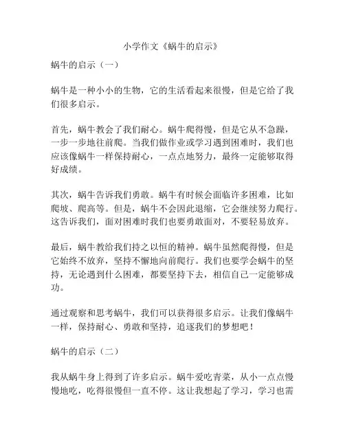 小学作文《蜗牛的启示》
