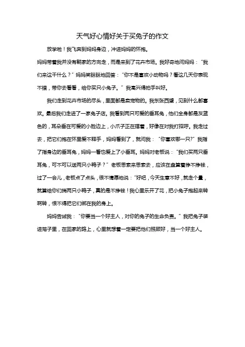 天气好心情好关于买兔子的作文
