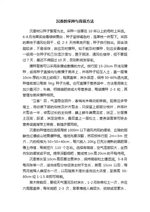 沉香的采种与育苗方法
