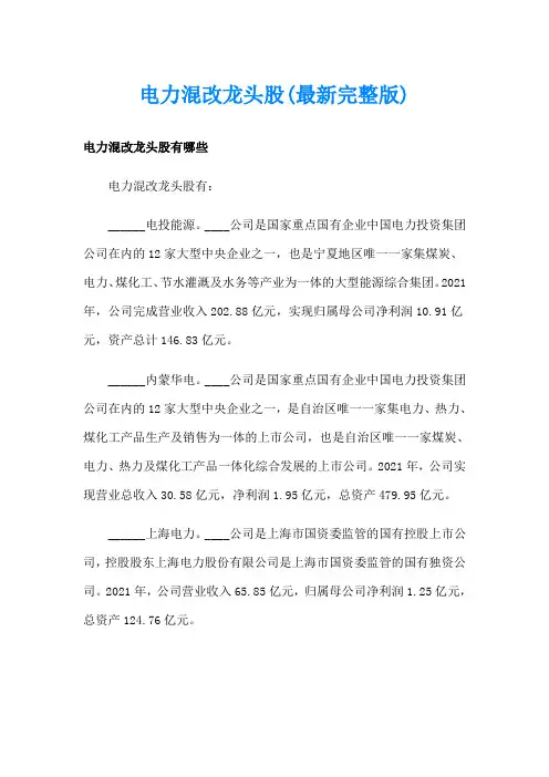 电力混改龙头股(最新完整版)