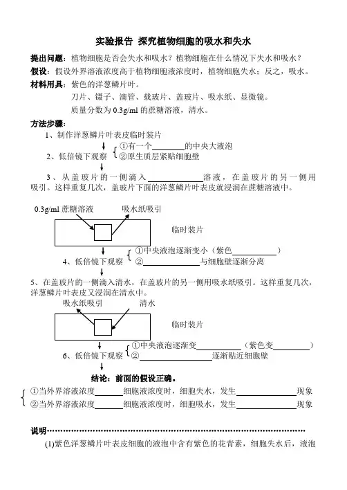 实验报告：探究植物细胞的吸水和失水