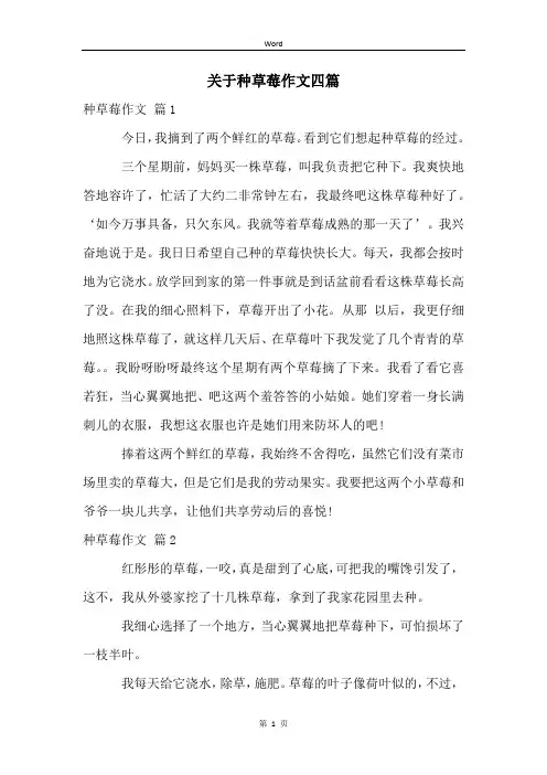 关于种草莓作文四篇