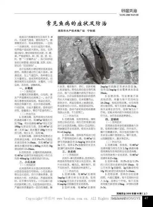 常见鱼病的症状及防治