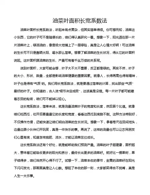 油菜叶面积长宽系数法