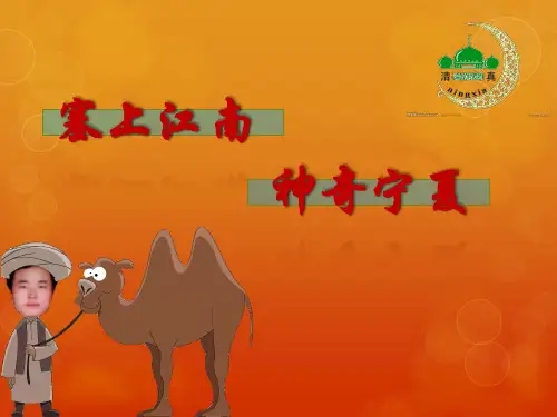 宁夏  家乡介绍