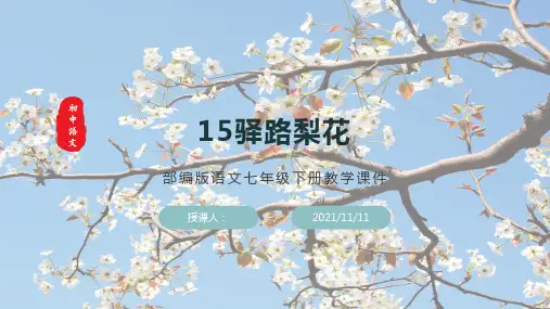 部编版语文七年级下册教学课件《驿路梨花》(含同步教案和习题)