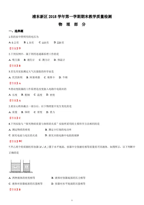 上海市浦东新区2018-2019学年九年级第一学期期末(一模)教学质量检试题(解析版)
