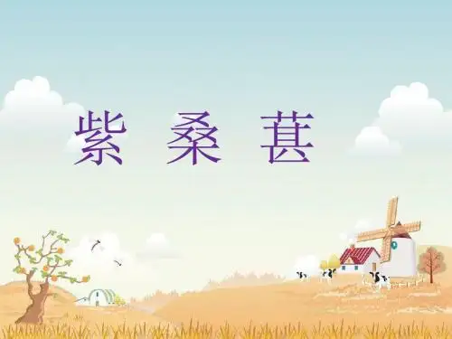 秋语文S版语文五年级上册第课《紫桑葚》ppt课件