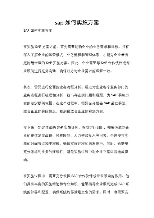 sap如何实施方案