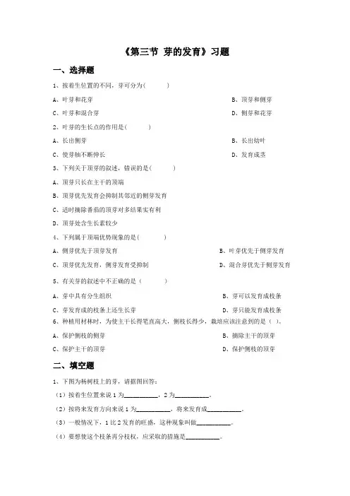 冀教版生物八年级上册 第三单元第一章《第三节 芽的发育》习题