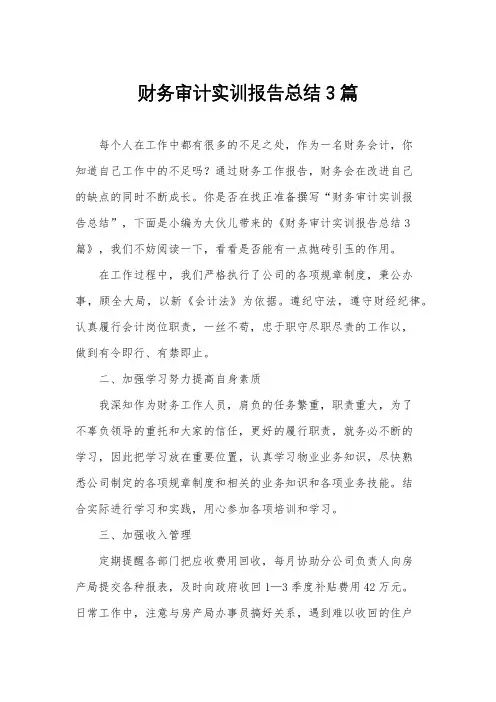 财务审计实训报告总结3篇